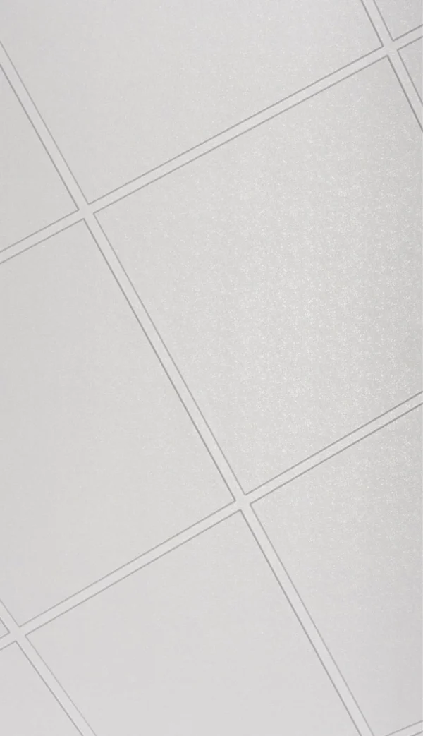 Входная дверь Прайм 2530 Эмаль белая — изображение 5