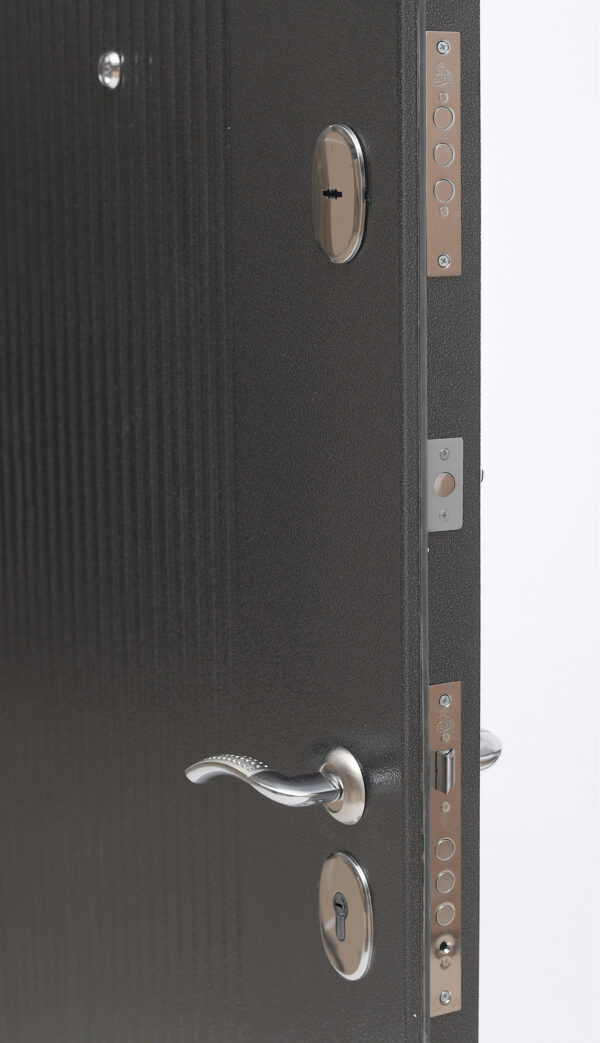 Входная дверь Алтай А70 Серебро/Граф белый — изображение 3