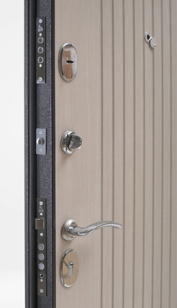 Входная дверь Алтай А70 Серебро/Граф белый — изображение 2