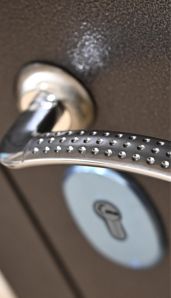 Входная дверь Алтай А60 МЕТ-МЕТ — изображение 3