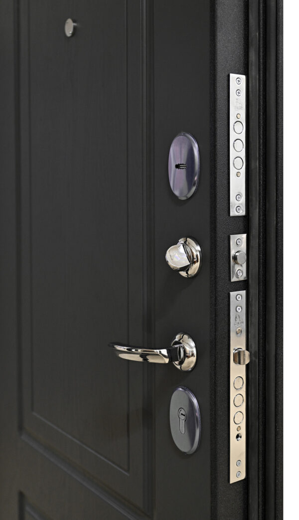 Входная дверь Стайл Т90 Букле черный/Ясень Графит — изображение 2