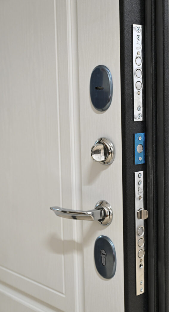 Входная дверь Стайл Т90 Букле черный/Белое дерево — изображение 2