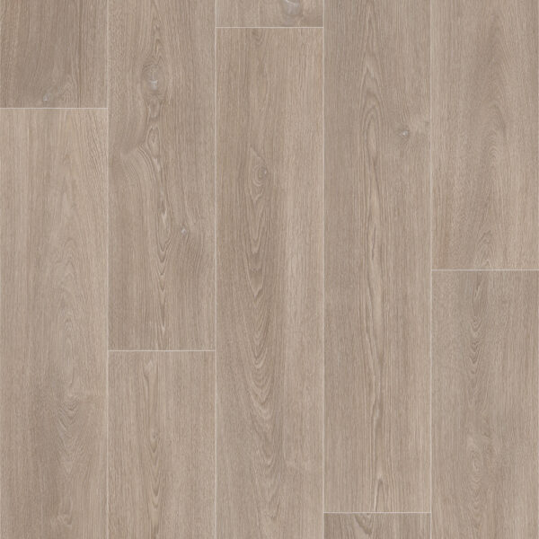 columbian oak1 1