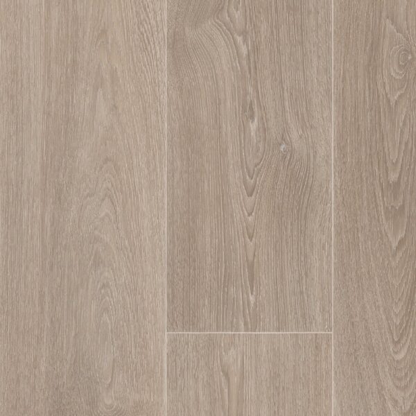 columbian oak1