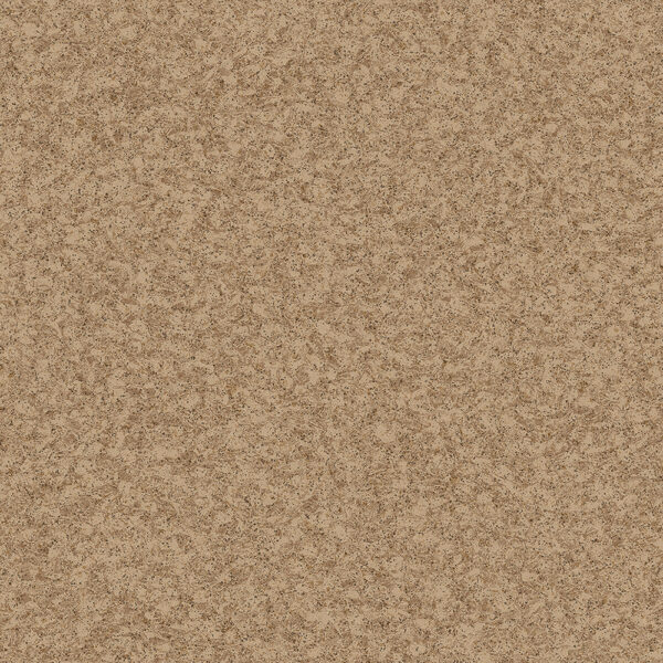nevada1