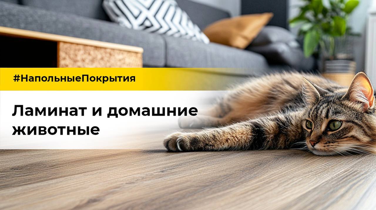 dveri-tyt.ru